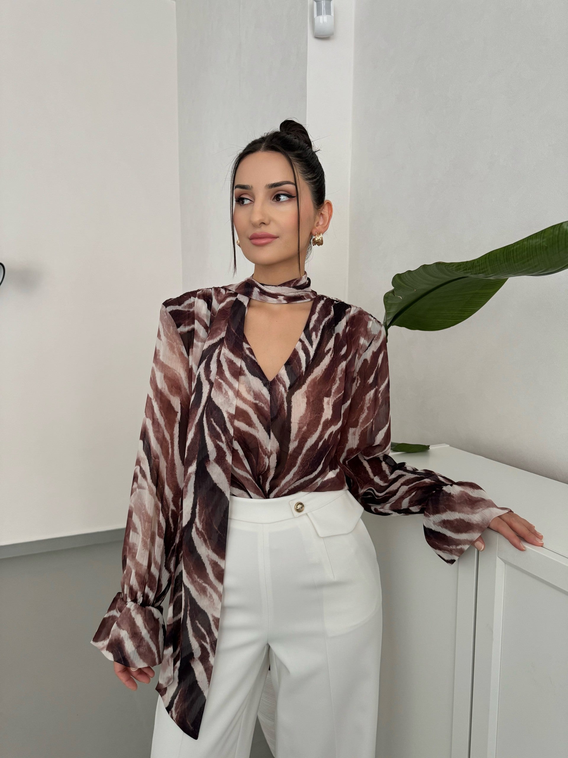 AT THE NECK TIE-FASTENING CHIFFON SHEER BLOUSE